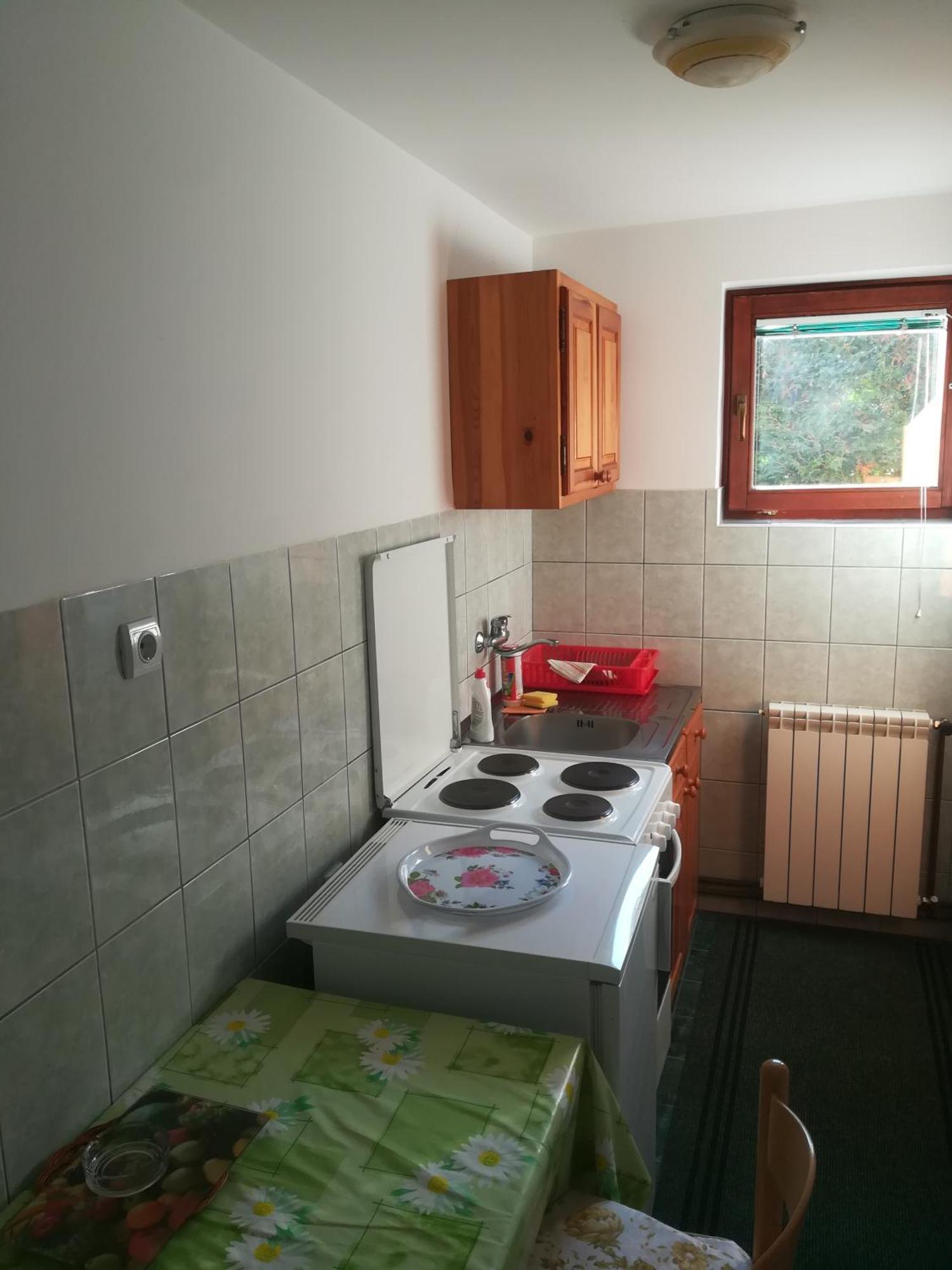 Vila Zoran Златибор Екстериор снимка
